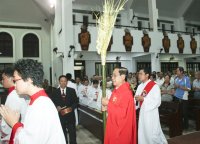 Gx Tân Thái Sơn: Lễ Lá 2015-Tưởng Niệm Cuộc Thương Khó Của Chúa